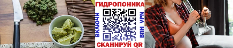 наркотики omg маркетплейс мориарти состав Губкинский Еда ТГК конопля