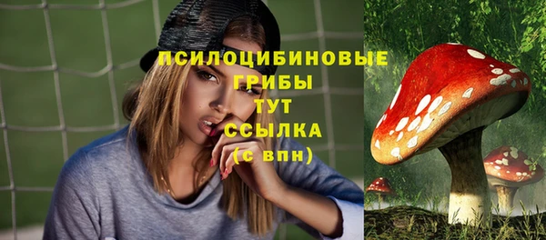 трава Вуктыл